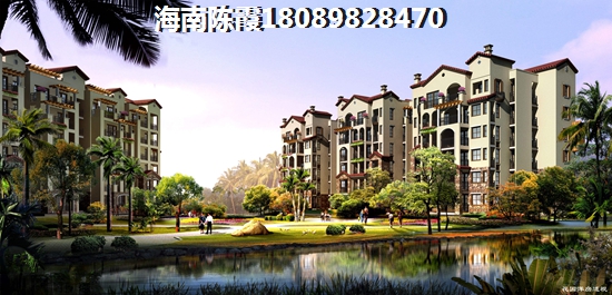 海南XG政策