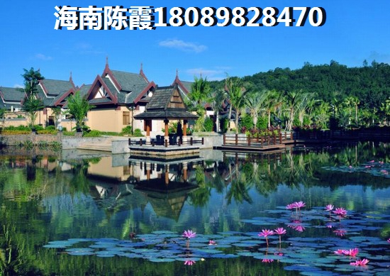 儋州XG政策