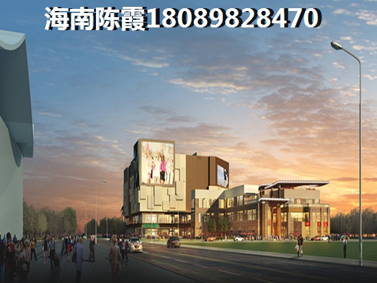 2020海口买房解读
