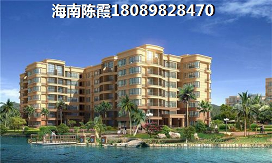海口市东海岸