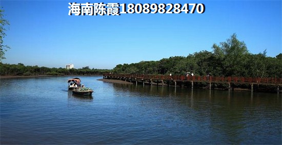 中海在三亚崖州区的楼盘现在买是赚还是亏