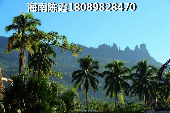 海南清水湾房价
