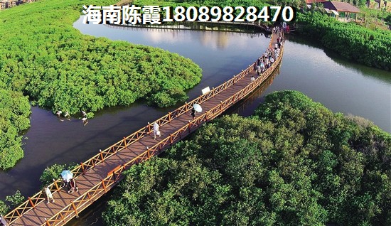 文昌高隆湾中海房地产哪些未来能升值