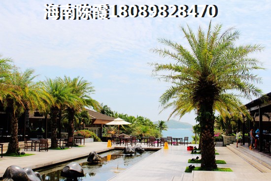 崖州区适合养老吗？
