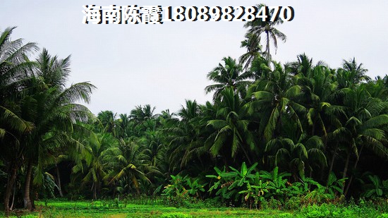 儋州市冬天潮湿吗？