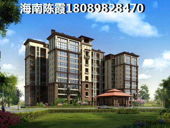40万在海南岛能买什么样的小区？