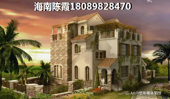 “候鸟”一般都在海南什么地方购房？