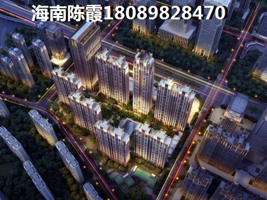 《新星宇·南海之洲》房产投资价值1