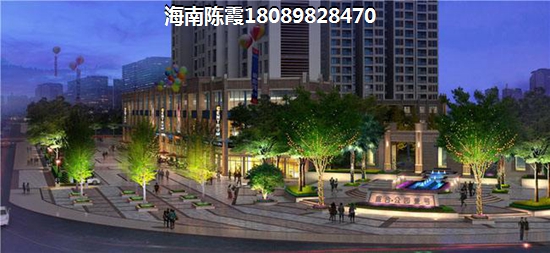 >2023海口西海岸购房解析