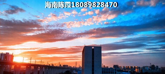 海南岛哪里买房适合养老4