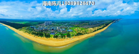 海南自贸区建设情况1