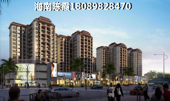 海南东方市2024XG吗（候鸟老人怎么在海南买房）
