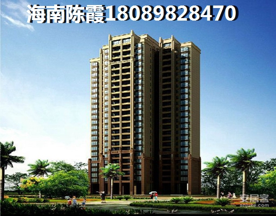 乐东2024年有望取消XG吗？1