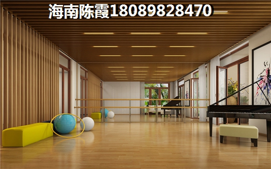 海南海口房子值得买吗2