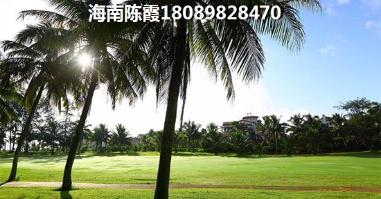 泰丰三十一湾能不能买？