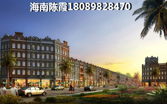 乐东九所新房
