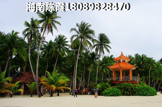 文博府2024房价走势还会涨？