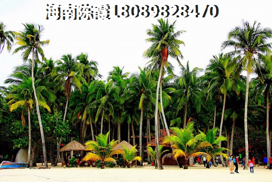 钻石广场新房怎样